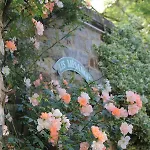 La Passiflore 4* Bossière