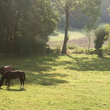 Bed & Breakfast La Passiflore Bossiere