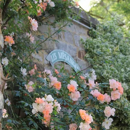 La Passiflore 4* Bossiere