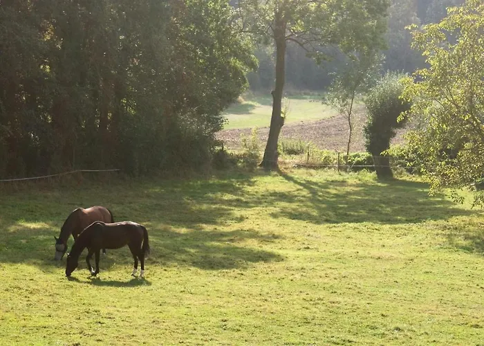 Bed & Breakfast La Passiflore Bossiere