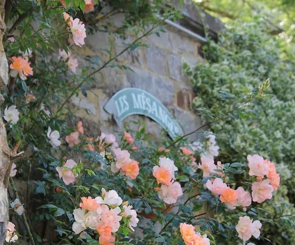 La Passiflore 4* Bossiere