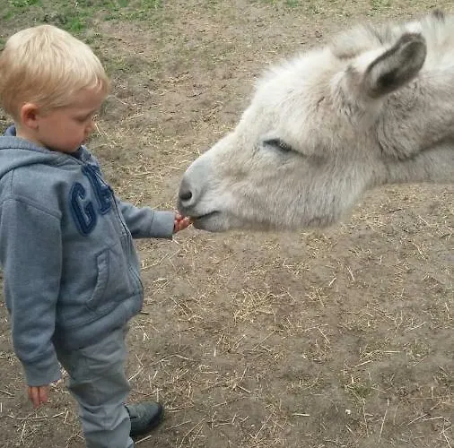 La Passiflore Bossiere