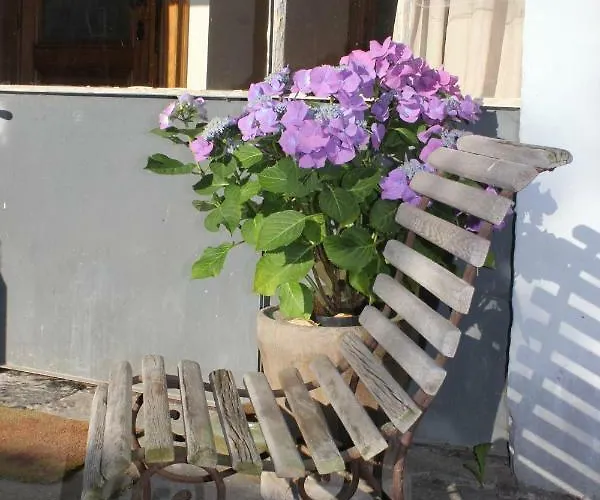 La Passiflore 4* Bossiere